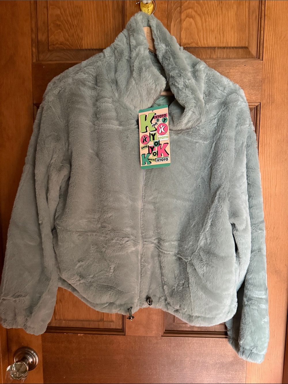 Faux Fur Hooded Jacket for women - Light Sage Green